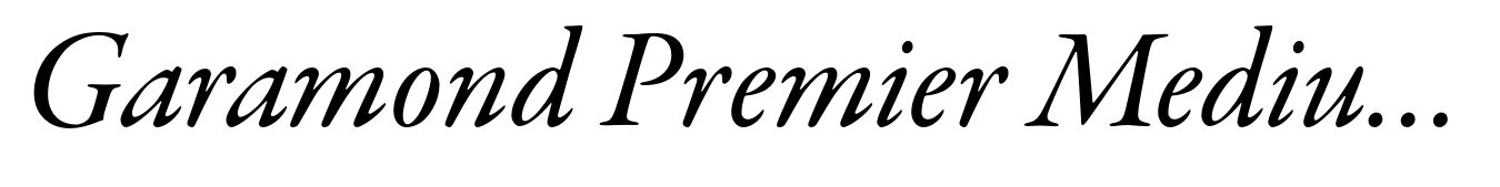 Garamond Premier Medium Italic Subhead